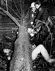 Bryn Mawr tree entrapment 
